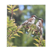 Mirror Biird Memo Pads