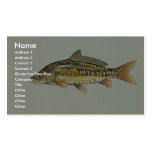 Mirror carp business card template