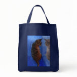 mirror cat bag