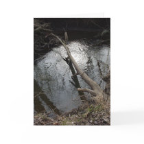 Mirror Creek greeting card by wislander Mirror Creek greeting card
