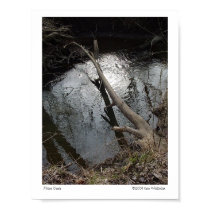 Mirror Creek posters by wislander Mirror Creek posters