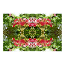 Mirror Flowers posters
