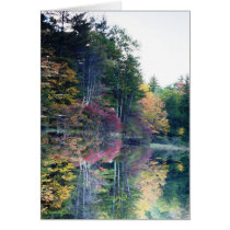 "Mirror Image" cards