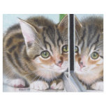 Mirror Image Flyers
