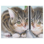 Mirror Image Letterhead