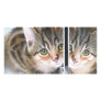 Mirror Image Photo Cards