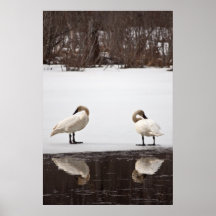 Mirror Image Poster