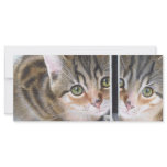 Mirror Image Rack Cards