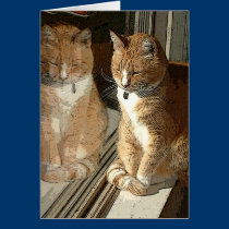Mirror Kitty card