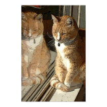 Mirror Kitty posters by armaiti Mirror Kitty posters
