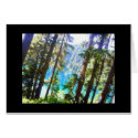 Mirror Lake cards