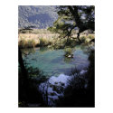 Mirror Lake, New Zealand posters by BruceRawles Mirror Lake, New Zealand posters