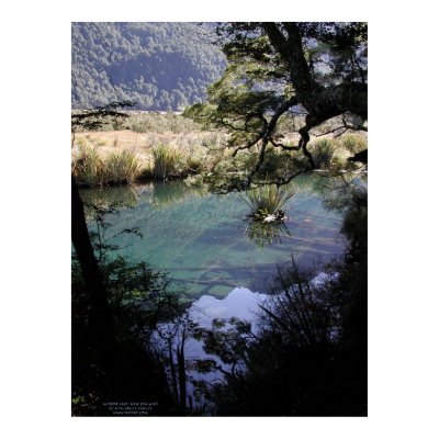 Mirror Lake, New Zealand Posters by BruceRawles