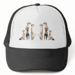 Mirror Meerkats Hats