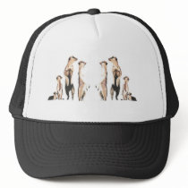 Mirror Meerkats Hats