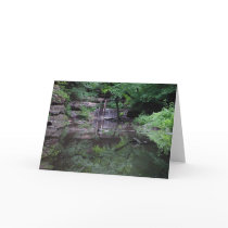 Mirror, Mirror Greeting Card by wislander Mirror, Mirror Greeting Card