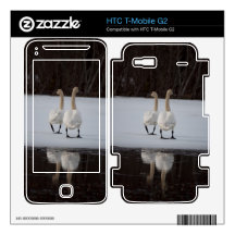 Mirror Mirror HTC T-Mobile G2 Decal