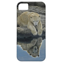 Mirror Mirror Polar Bear iPhone 5 Cases