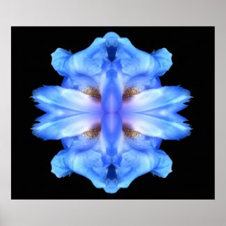 Mirrored Iris & Feathers Prints print