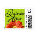 Mis Quince Años Bright Flower Postage Stamps by oph3lia Mis Quince Años Bright Flower Postage Stamps