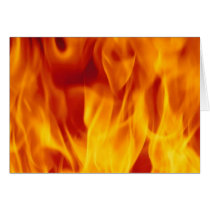 misc359 greeting cards
