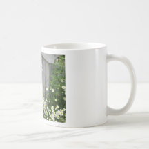 Misc.pictures 311 mug
