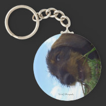 Mischevious keychains