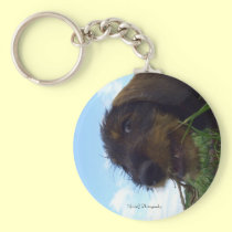 Mischevious keychains