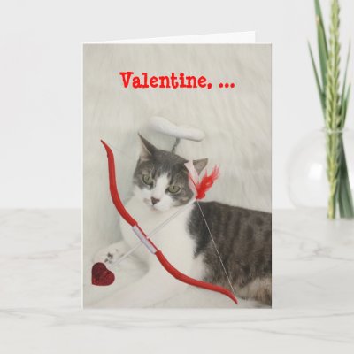 cupid cat