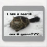 Mischievous Maine Coon in the snow