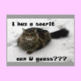 Mischievous Maine Coon in the snow