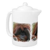 Mischievous Orangutan Ape Photo