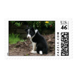 Mischievous Pup Postage Stamps
