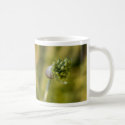 misdirection mugs