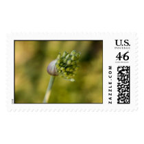 misdirection postage