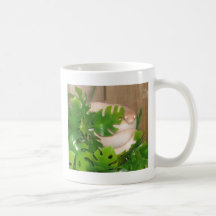 Mishu Mugs