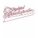 Ladies Destroyed T-Shirt