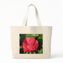 Miss All-American Beauty Hybrid Tea Rose 097 bags by MobyD46 Miss All-American Beauty Hybrid Tea Rose 097 bags