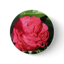 Miss All-American Beauty Hybrid Tea Rose 097 buttons by MobyD46 Miss All-American Beauty Hybrid Tea Rose 097 buttons