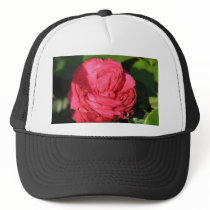 Miss All-American Beauty Hybrid Tea Rose 097 hats by MobyD46 Miss All-American Beauty Hybrid Tea Rose 097 hats