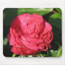 Miss All-American Beauty Hybrid Tea Rose 097 mousepads by MobyD46 Miss All-American Beauty Hybrid Tea Rose 097 mousepads