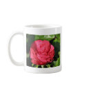 Miss All-American Beauty Hybrid Tea Rose 097 mugs