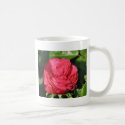 Miss All-American Beauty Hybrid Tea Rose 097 mugs