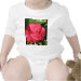 Infant Onesie / Creeper