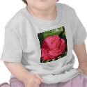 Miss All-American Beauty Hybrid Tea Rose 097 t-shirts