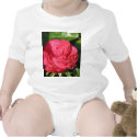 Miss All-American Beauty Hybrid Tea Rose 097 t-shirts