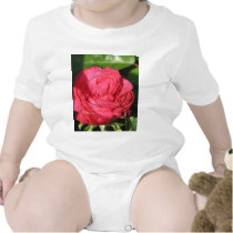 Miss All-American Beauty Hybrid Tea Rose 097 t-shirts by MobyD46 Miss All-American Beauty Hybrid Tea Rose 097 t-shirts