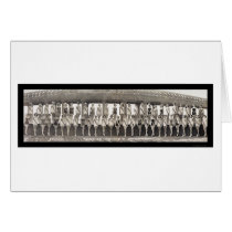 Miss America Pageant Photo 1953 cards