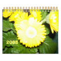 MiSS CaLeNdEr calendars by 1996_00 MiSS CaLeNdEr calendars