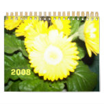 MiSS CaLeNdEr Wall Calendars